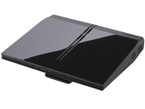SkyLink LAN-W300N/DR 商品画像1：エスセール