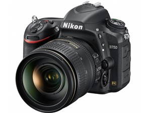 Nikon D750 24-120 VR レンズキット 商品画像1：沙羅の木