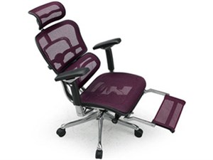 エルゴヒューマン Ergohuman オフィスチェア オットマン内蔵型 ヘッドレスト付き エラストメリックメッシュ Ergohuman PRO ottoman EHP-LPL KM-12 [レッド] 商品画像1：GBFT Online