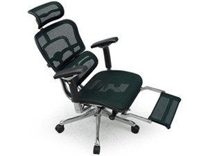 エルゴヒューマン Ergohuman オフィスチェア オットマン内蔵型 ヘッドレスト付き エラストメリックメッシュ Ergohuman PRO ottoman EHP-LPL KM-14 [グリーン] 商品画像1：GBFT Online