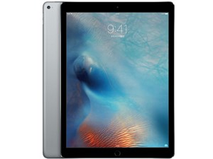 iPad Pro Wi-Fiモデル 32GB ML0F2J/A [スペースグレイ] 商品画像1：セブンスター貿易