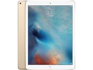 iPad Pro Wi-Fiモデル 32GB ML0H2J/A [ゴールド] 商品画像1：セブンスター貿易
