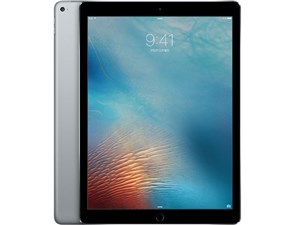 iPad Pro Wi-Fiモデル 256GB ML0T2J/A [スペースグレイ] 商品画像1：セブンスター貿易