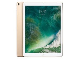 iPad Pro 12.9インチ Wi-Fi 64GB MQDD2J/A [ゴールド] 商品画像1：パニカウ PLUS