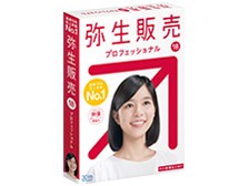 弥生販売 18 プロフェッショナル 通常版 <消費税法改正対応>