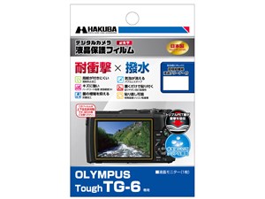 DGFS-OTG6
