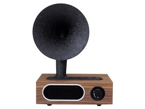サンスイ SANSUI ラジオスピーカー Bluetoothスピーカー MSR-5 商品画像1：GBFT Online Plus