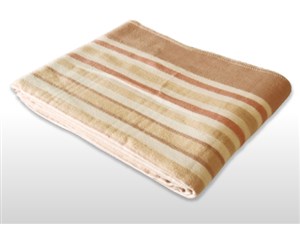 TEKNOS 大判 掛け敷き毛布(200×140cm) ベージュ系 EM-8013