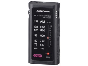 AudioComm RAD-P333S-K [ブラック]