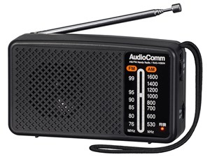 AudioComm RAD-H260N 商品画像1：サンバイカル