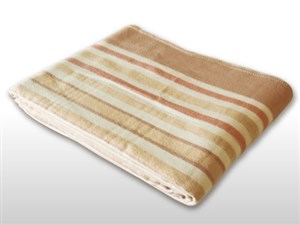 TEKNOS 大判セミダブルサイズ洗える掛け敷き毛布  (200×140cm) EM-8014