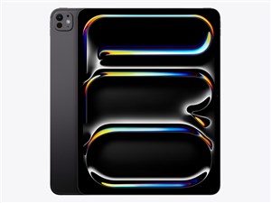 iPad Pro 13インチ Wi-Fi+Cellular 256GB 2024年春モデル MVXR3J/A SIMフリー･･･