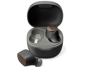 Premium Style PG-BTE17TW1BK [ブラック]