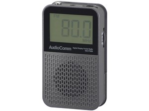 AudioComm RAD-P140N