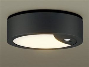 パナソニック ダウンシーリング100形電球色拡散 LSEWC2088LE1
