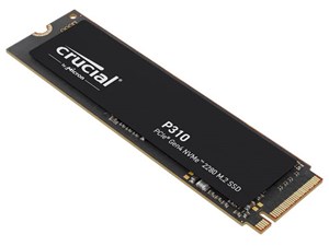 P310 CT2000P310SSD8-JP