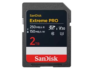 SDSDXXD-2T00-GN4IN [2TB]