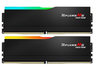 F5-6000J3636F32GX2-RM5NRK [DDR5 PC5-48000 32GB 2枚組]