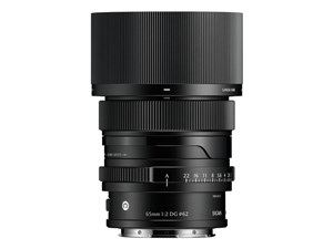 65mm F2 DG ブラック [ライカL用]