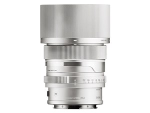 65mm F2 DG シルバー [ライカL用]