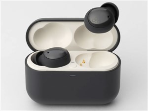 final FI-ZE5DPLTWDG 完全ワイヤレスイヤホン ag ZE500 for ASMR Bluetooth対･･･