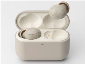 final FI-ZE5DPLTWCR 完全ワイヤレスイヤホン ag ZE500 for ASMR Bluetooth対･･･