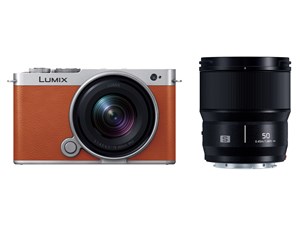 在庫有、最短出荷 デジタルカメラ パナソニック LUMIX S9 DC-S9W-D  ダブルレ･･･