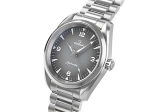 シーマスター レイルマスター コーアクシャル マスター クロノメーター 38MM ･･･