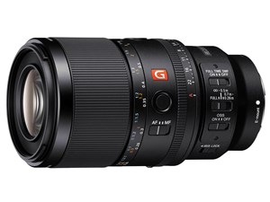 FE 100mm F2.8 Macro GM OSS SEL100M28GM