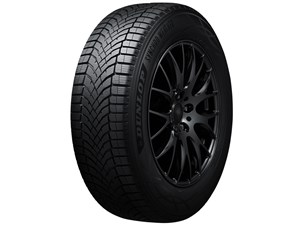 SYNCHRO WEATHER 255/35R21 98V XL