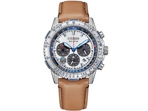 プロマスター SKY ブルーインパルス限定モデル CA4661-09A