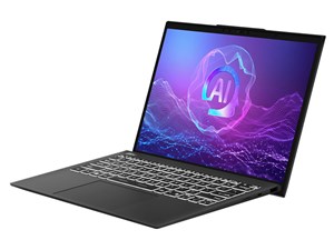 Prestige-13-AI-Evo-A2HMG-5579JP [ステラグレイ]