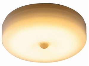 ALCM150JL (電球色) 人感センサー付き小型LEDシーリングライト