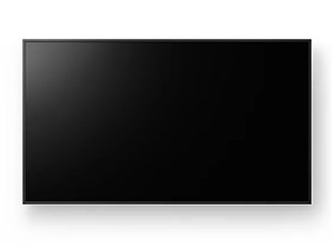 BRAVIA FW-65BZ30P [65インチ]