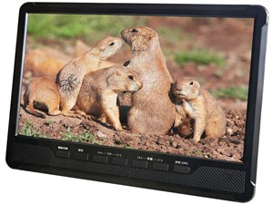 ポータブルDVDプレイヤー 10.1インチ フルセグDVDプレイヤー 軽量 多機能 ワ･･･