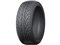 NS-2 165/35R17 75V XL 商品画像1：ブロッサム