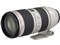 【レンズ】Canon EF70-200mm F2.8L IS II USM 商品画像1：沙羅の木