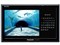 GORILLA CN-SP735VL 商品画像8：JP-TRADE