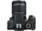 【デジタル一眼カメラ】Canon EOS Kiss X8i ダブルズームキット 商品画像11：沙羅の木