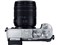 Panasonic LUMIX DMC-GX8H-S 高倍率ズームレンズキット [シルバー] 商品画像4：沙羅の木