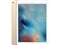 iPad Pro Wi-Fiモデル 128GB ML0R2J/A [ゴールド] 商品画像1：セブンスター貿易