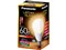 LDA8LGZ60ESW [電球色] 商品画像1：BIGBANG PLUS