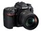 Nikon D500 16-80 VR レンズキット 商品画像4：沙羅の木