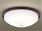 PANASONIC LGBC81043LE1 [LED小型シーリングライト(電球色/センサー付)] 商品画像1：XPRICE