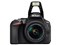 【デジタル一眼カメラ】Nikon D5600 ダブルズームキット 商品画像4：沙羅の木