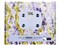 エレコム 赤ちゃん ペット 体重計 体組成計 50グラム単位 デジタル かわいい ベビースケール HCS-FS02BU 商品画像2：リコメン堂