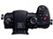 LUMIX DC-GH5S ボディ 商品画像4：メルカドカメラ