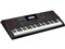 CASIO カシオ CT-X5000 高音質AiX音源搭載 61鍵盤電子キーボード 商品画像3：GBFT Online
