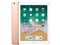 iPad 9.7インチ Wi-Fiモデル 32GB MRJN2J/A [ゴールド] 商品画像1：沙羅の木