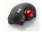 エレコム トラックボールマウス 8ボタン 3年保証 親指 チルトホイール Bluetooth ブラック(黒) M-XPT1MRBK 商品画像1：リコメン堂